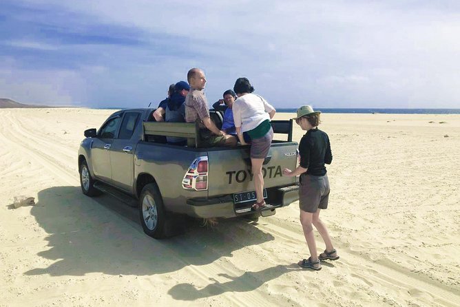 Boa Vista Island: 4-Hour Rabil, Viana Desert & Shipwreck Tour - Reviews and Ratings