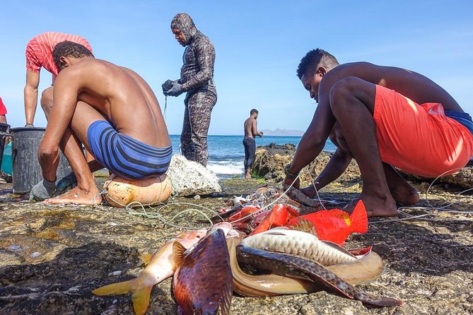 Full Day Island Tour, Highlights of São Vicente - Cancellation Policy