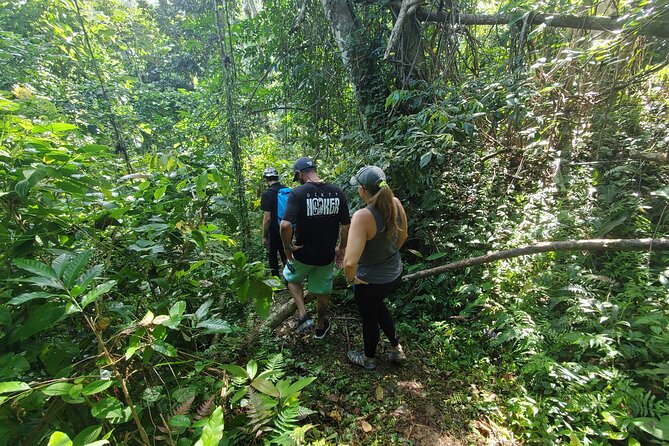 Puerto Rico Tour to El Yunque Rainforest Hiking to Waterfall - The Sum Up