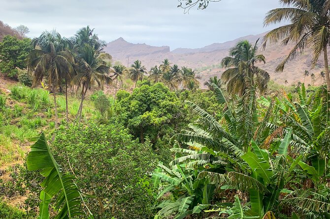 Santiago Island: Hiking in Serra Malagueta Natural Park, Gongon & Hortelã - The Sum Up