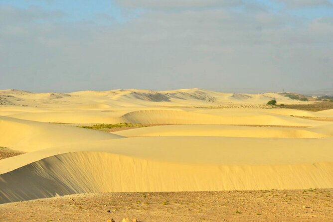 Ultimate Boa Vista Adventure - 7 Days 6 Nights - Cancellation Policy and Refunds