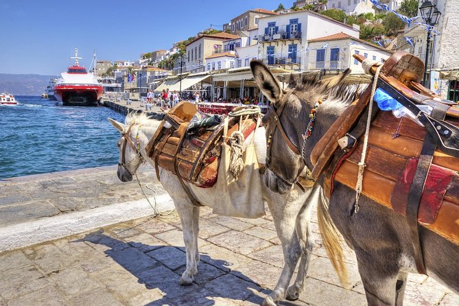 VIP Day Cruise From Athens to Hydra, Poros and Aegina - Terms and Conditions