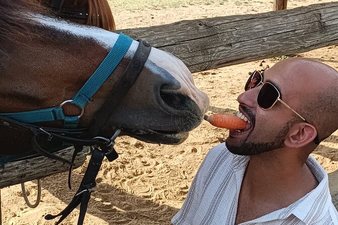 Visit a Farm and Horseback Riding in Nature - Cancellation Policy