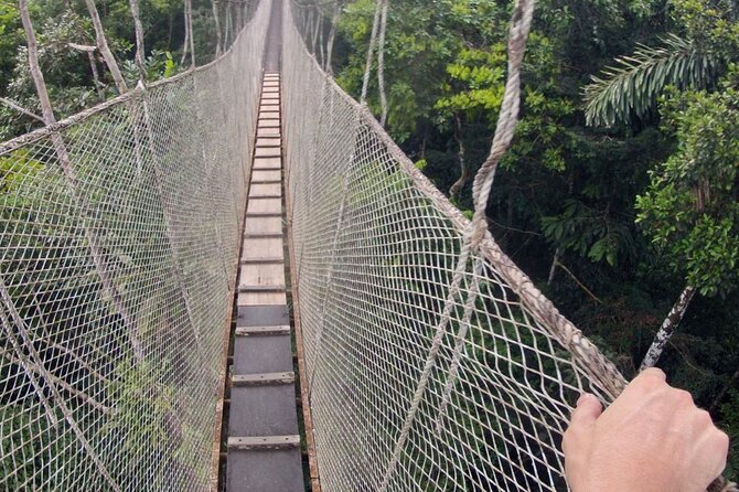 6-Day All Inclusive Guided Jungle Tour From Iquitos at Maniti Eco-Lodge - Accommodation Details
