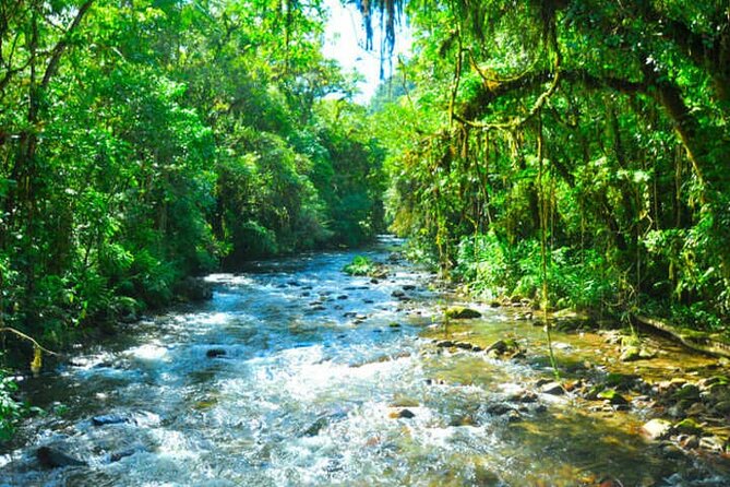 6-Day São Paulo Tour: From City, Waterfalls and Caves - (Petar) - Inclusions