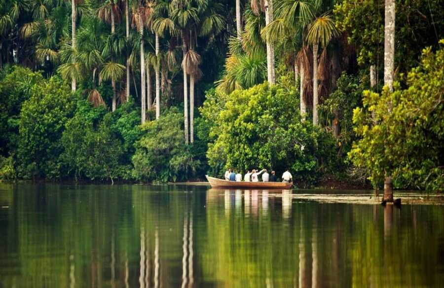 6 Days Tour to the Tambopata Highlands Sandoval Lake
