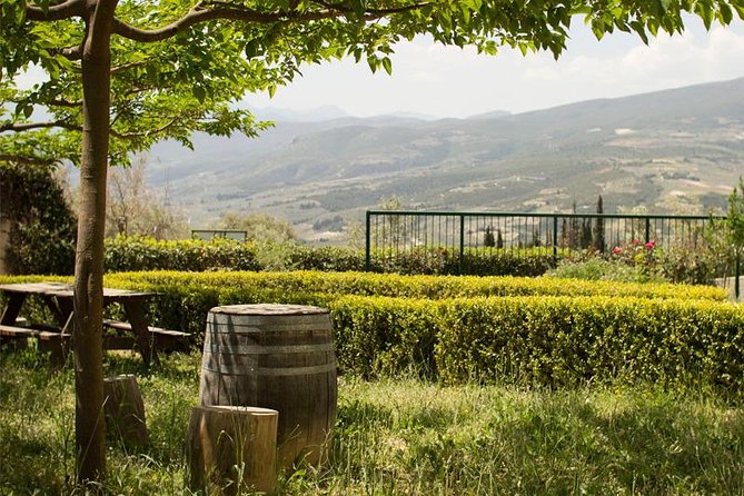 6. Organic Olive Oil and Vinegar Tasting - Tasting Location and Experience