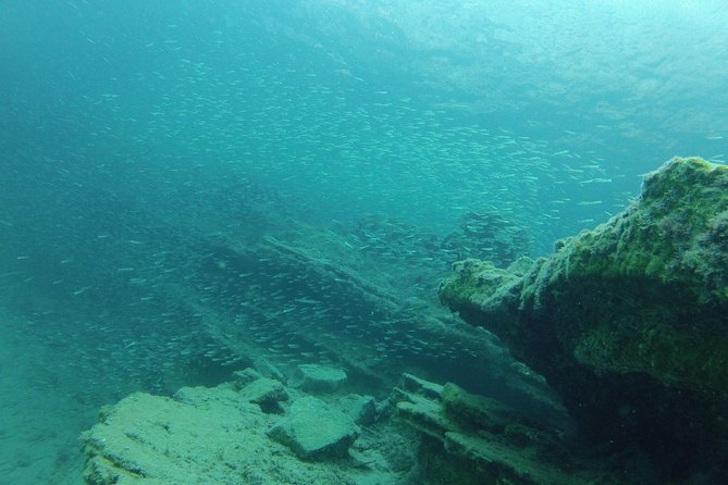 Olous – Guided Snorkelling Excursion to Discover Olous Sunken Ancient City - The Sum Up