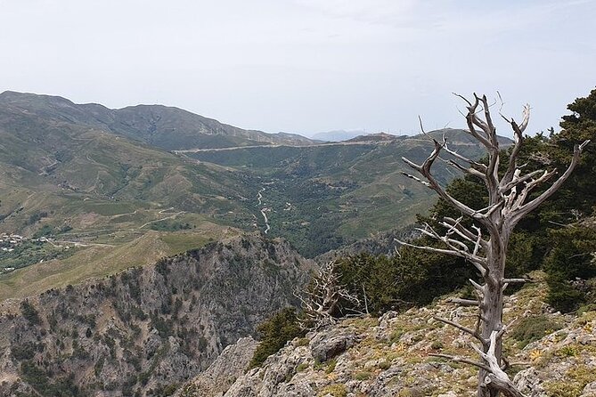 Rethymno Tour - VIP Private Tour - Hiking the Kourtaliotiko Gorge