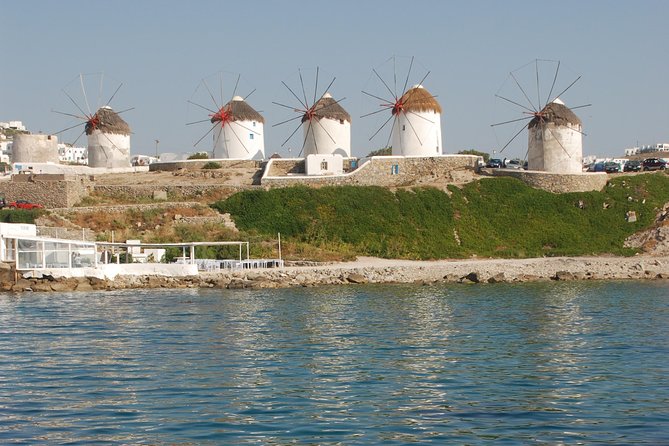 City & Island Tour - Testimonials