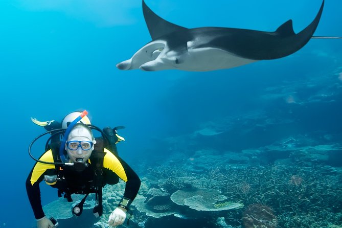 Double Diving in Sal Island - Half Day - Common Questions