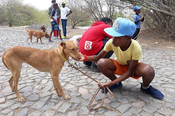 Volunteering With Animals in Sao Vicente! - Common Questions