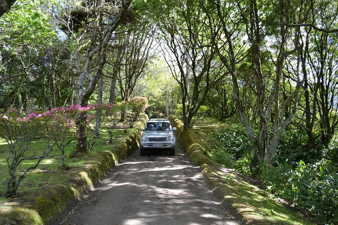 8-Hour Private Tour in 4x4 Vehicle From Ponta Delgada - Good To Know