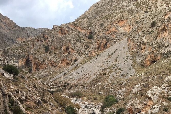 Rethymno Tour - VIP Private Tour - Traveler Reviews and Ratings
