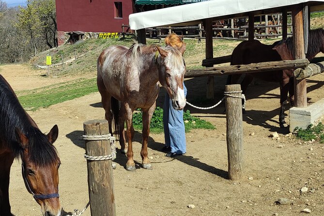 Visit a Farm and Horseback Riding in Nature - Entrance Fee
