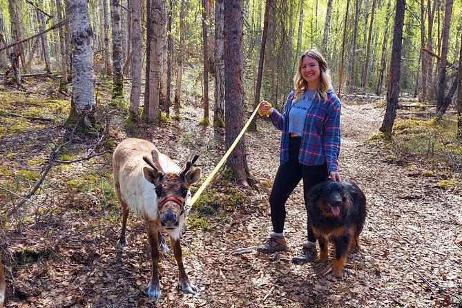 A Walk in the Woods...with REINDEER! - Good To Know