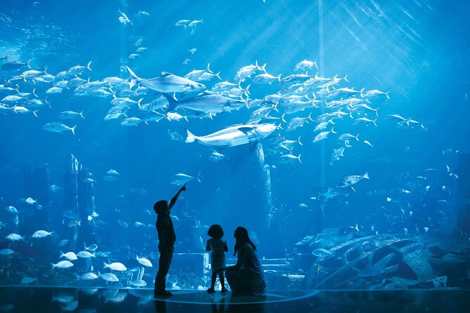 Admission to Lost Chamber Aquarium - Pricing