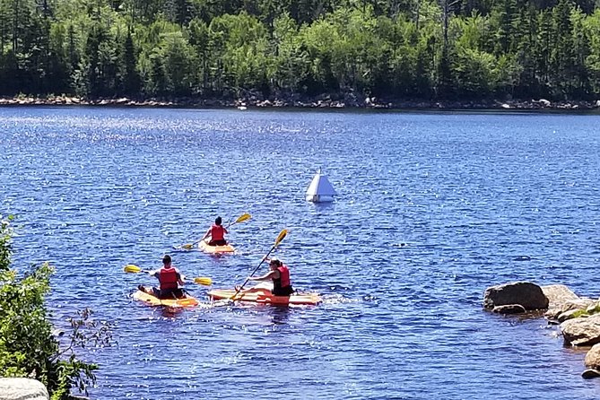 Adult Single Kayak Rental - Good To Know