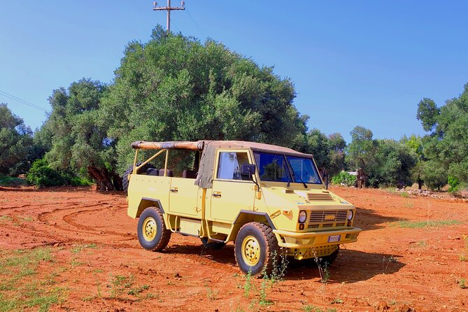 AdvenTour of the Marine and Millennial Olive Groves