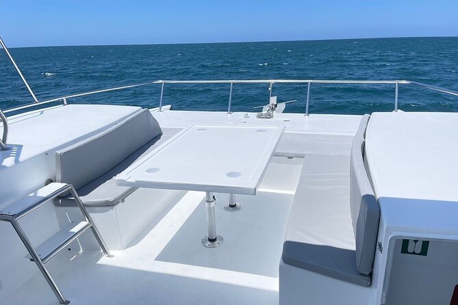Adventure Awaits: Morning Catamaran Tour Experiences