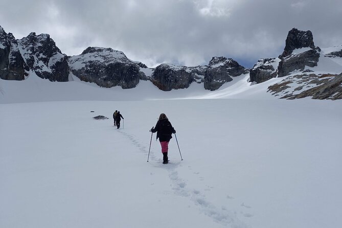 Adventure Seekers Conquer Albino Glacier Trek