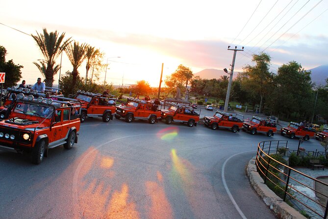 Alanya Night Safari - Overview and Activities