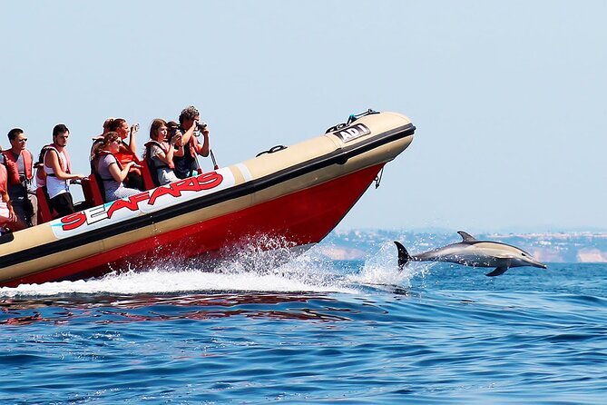 Algarve Dolphin Cruise  - Portimao - Dolphin Sightings and Expertise