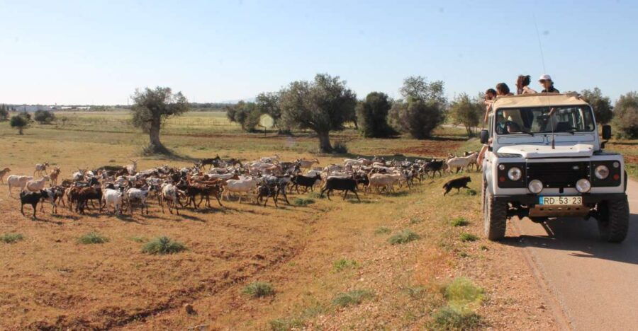 Algarve Jeep Safaris Halfday Tours.