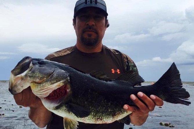 All Day St Johns River Fishing Trip Near Daytona - Pricing and Booking Details