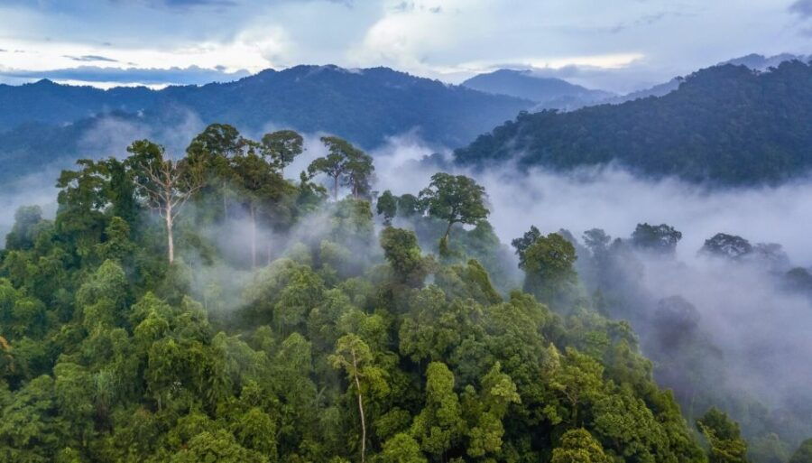 All Peru in 20 Days:Lima,Ica,Arequipa,Puno,Cusco,Amazonas - Good To Know