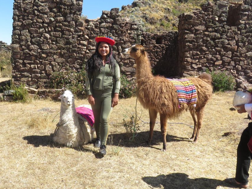 Alpaca Therapy and Artisanal Creativity - Good To Know