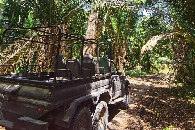 Ancient Maya Jungle Adventure Awaits