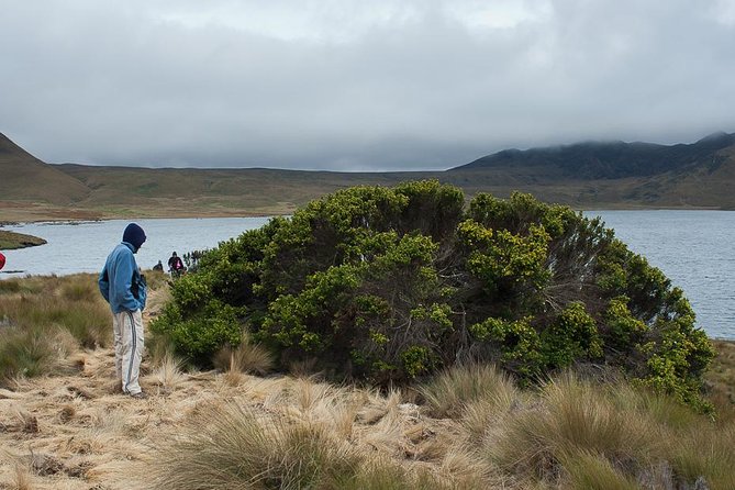 Antisana Ecological Reserve: Immerse in Volcanic Wonders