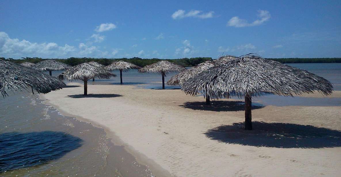 Aracaju: Tour To Croa Goré And Namorados Island
