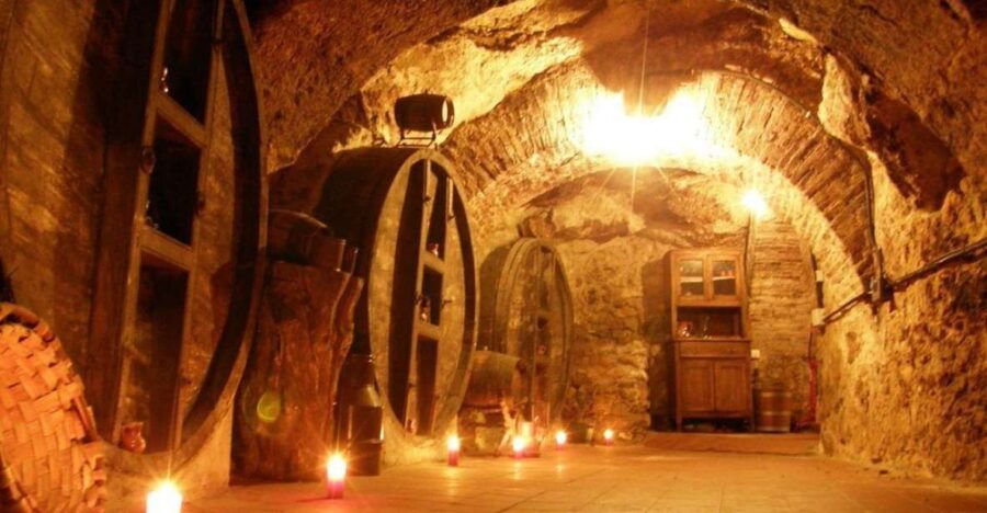 Aranda De Duero: Guided and Dramatized Visit to Medieval Wi - Good To Know