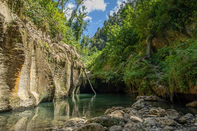 Arenales Caves, River and Waterfall Plus Hidden Spring Full Day Adventure in PR - Good To Know