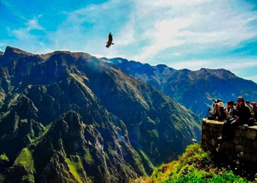 Arequipa: Colca Canyon 1-Day Guided Tour Condor Flight - Experience Highlights and Itinerary Details