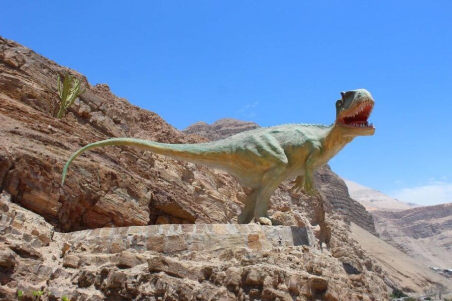 AREQUIPA: Dead Bull Petroglyphs and Dinosaur Footprints