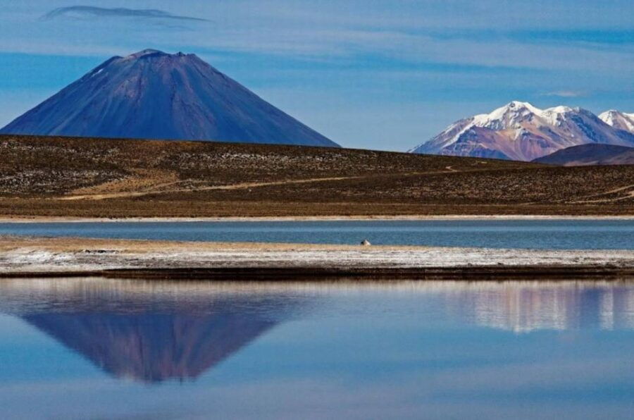 Arequipa: Excursion to Salinas Lagoon All Day