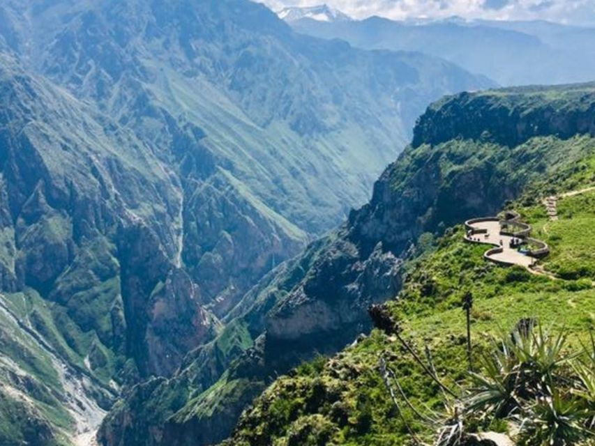Arequipa: Excursion to the Colca Canyon Ending in Puno