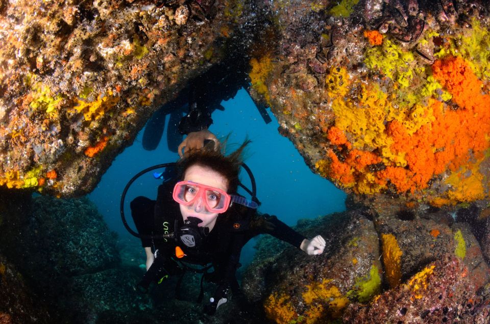 Arraial Do Cabo: Scuba Diving Experience - Activity Details