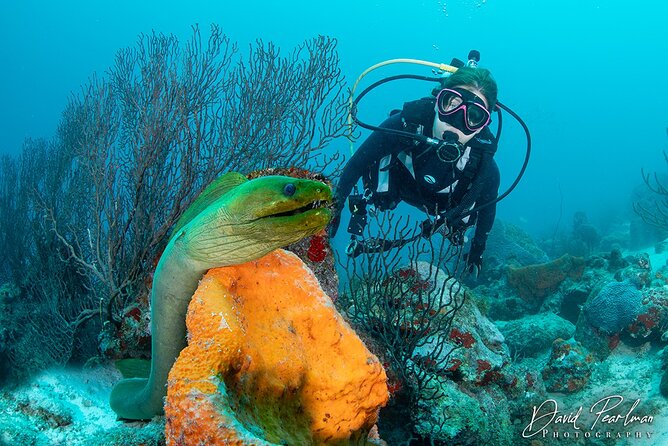 Aruba Red Sail Sports One or Two Tank Scuba Dive - Safety Guidelines