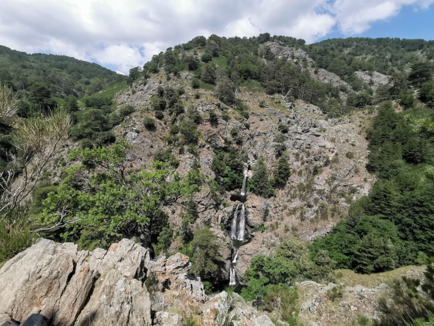 Aspromonte National Park: Private Trek to the Maesano Falls