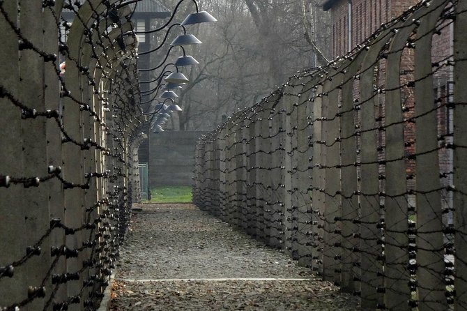 Auschwitz-Birkenau Tour From WrocłAw - Tour Inclusions and Highlights
