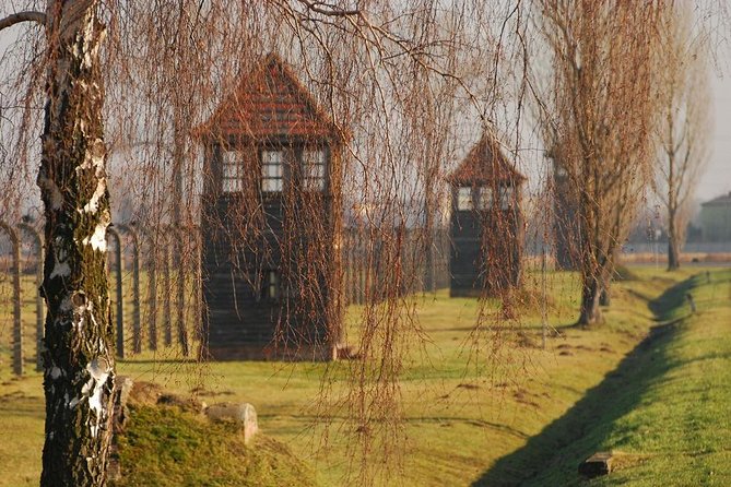 Auschwitz Guided Tour - Guide Expertise