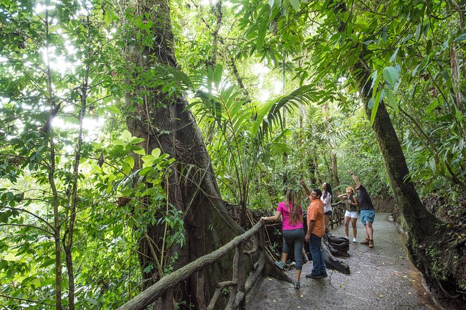 Awe-inspiring Arenal Volcano and Wildlife Adventure - Good To Know