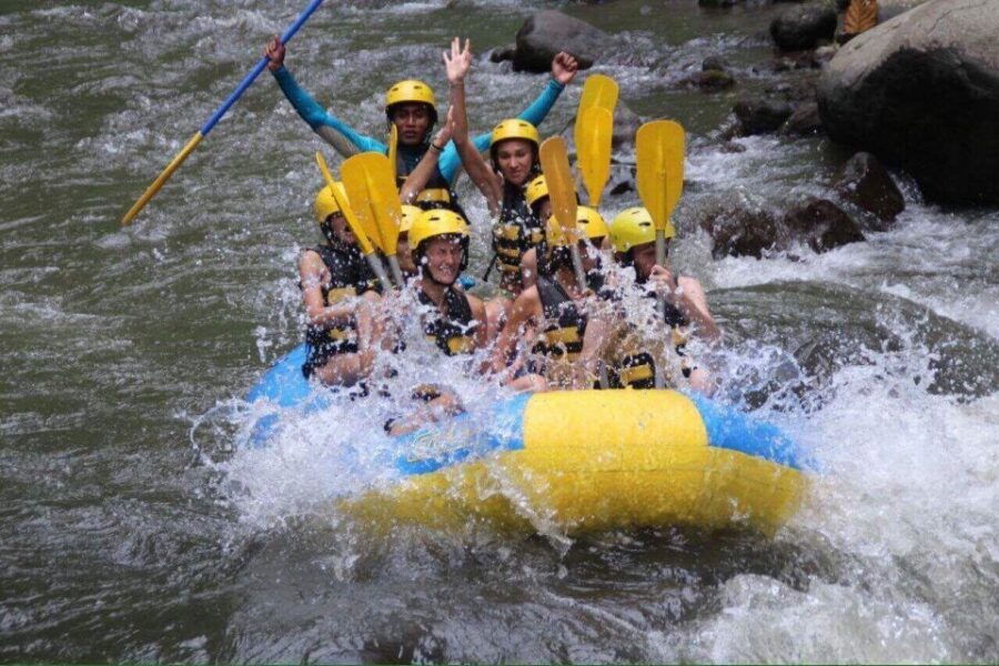 Ayung Rafting and ATV Ride Adventure - Activities Description