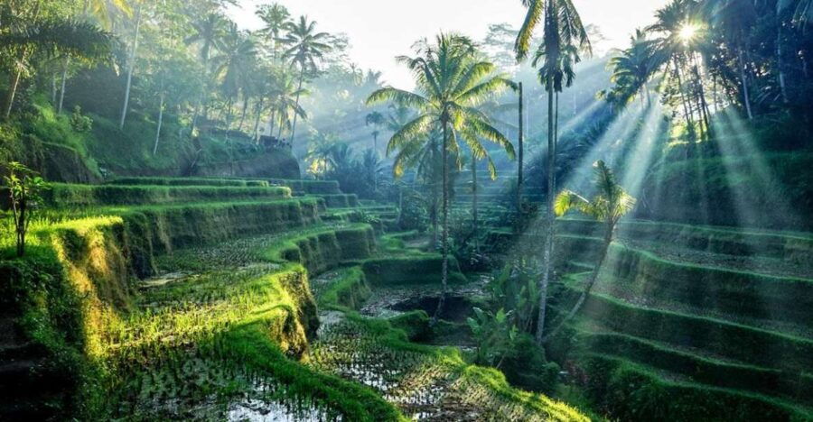 Bali: 4 Hours Private Short Tour/Kuta/Seminyak/Ubud/Nusadua