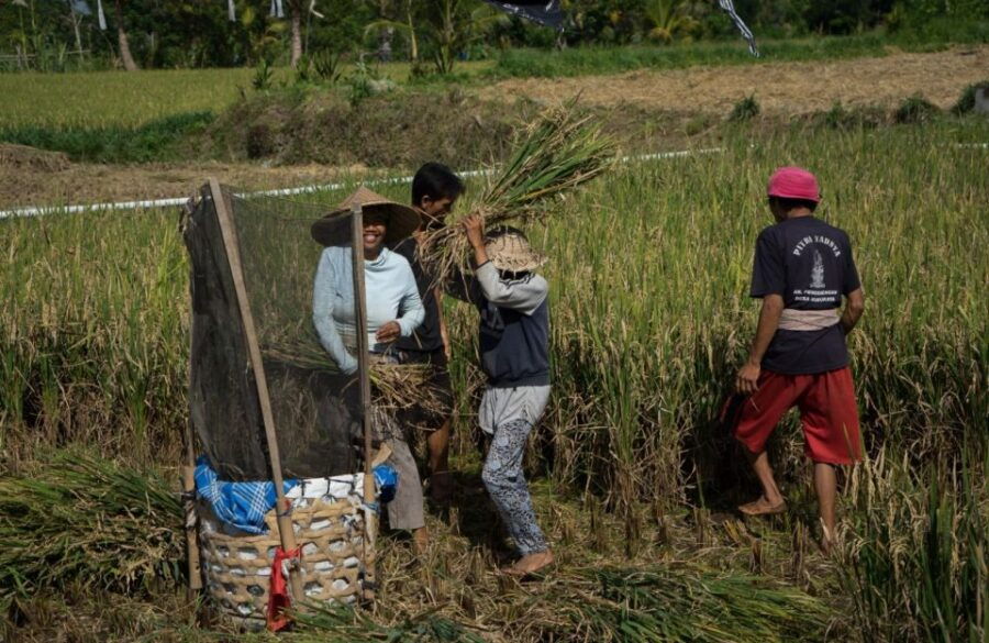 Bali: 6-Hour UNESCO Sites Cultural Walking Tour - Tour Duration and Inclusions