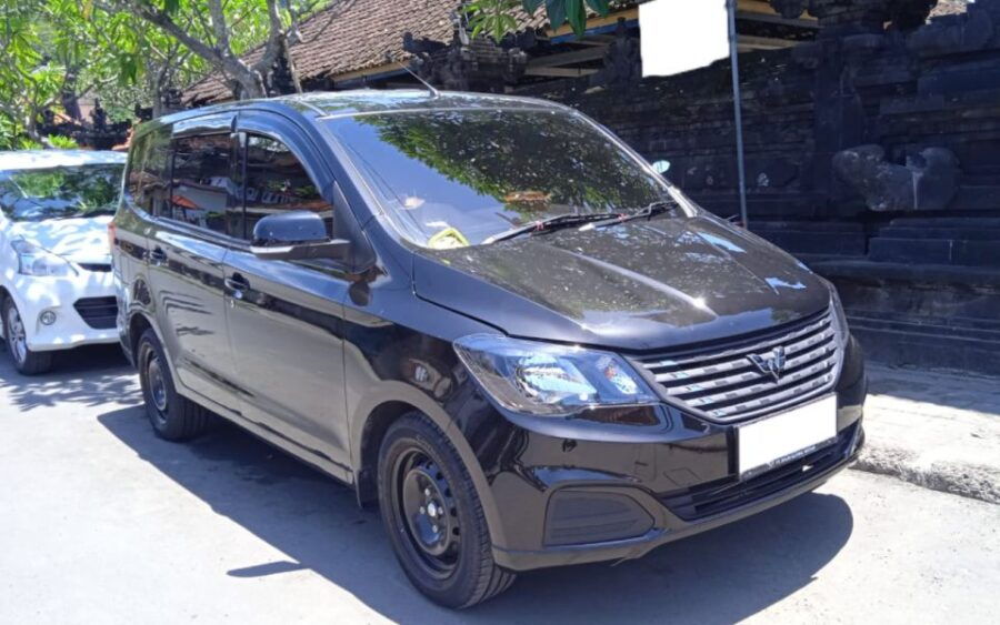 Bali Airport Private Transfer From/To Lovina & Tanah Lot - Inclusions in the Service
